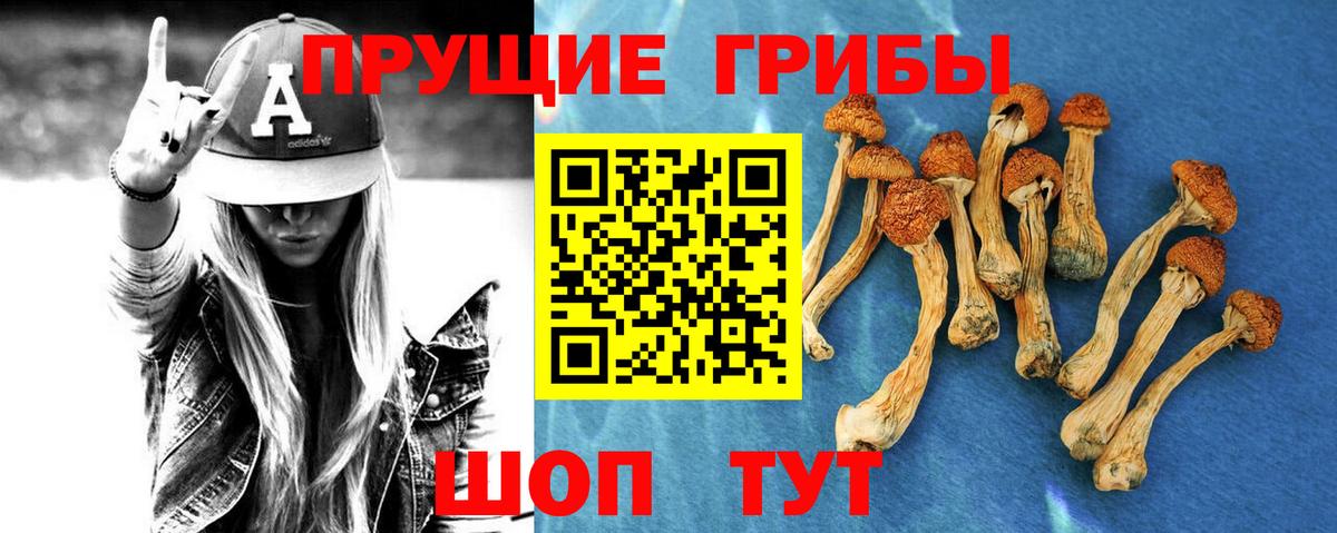 Галлюциногенные грибы прущие грибы  Вход с VPN  Лысьва  Галлюциногенные грибы ЛСД 