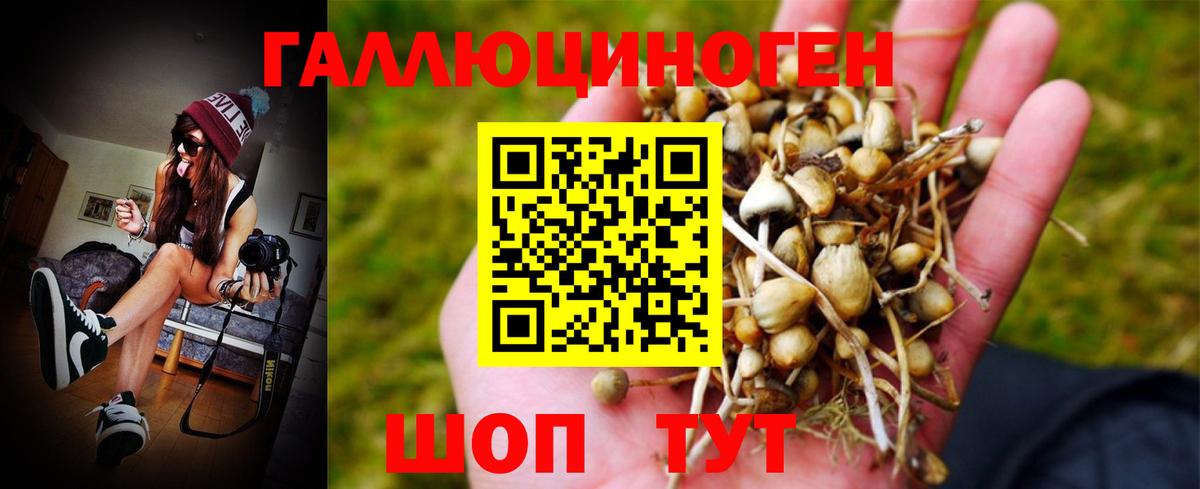 Галлюциногенные грибы мухоморы Лысьва
